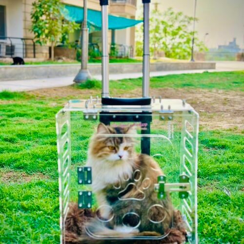 Transparent Acrylic Pet Carrier with 360° Wheels | Sturdy Trolley Bag with Telescopic Handle | Max Ventilation