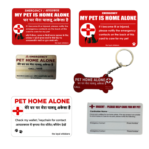 Amazon Main Image Pet Emergency Safety Kit for Dogs & Cats (Wallet Card, Keychain, Mobile Plate & Car Sticker) | Pet Home Alone Kit India